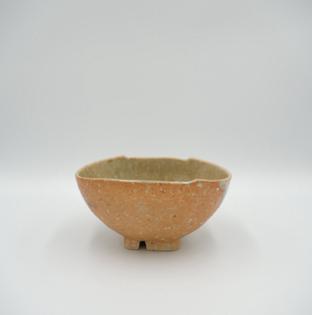 Japanese Enshu-Konomi Hana-Tachibana Matcha Tea Bowl Chawan with Signed Wooden Box