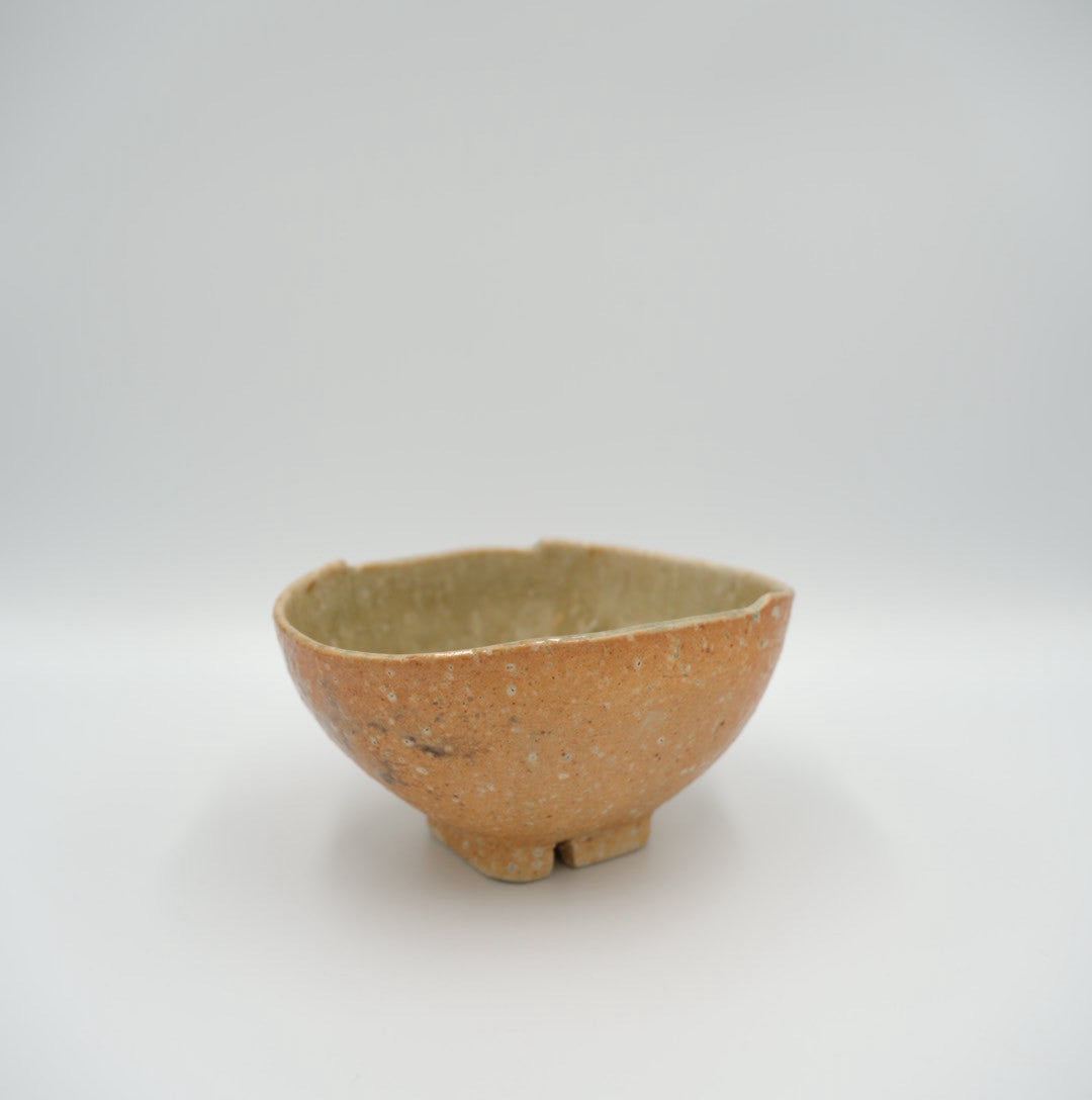 Japanese Enshu-Konomi Hana-Tachibana Matcha Tea Bowl Chawan with Signed Wooden Box