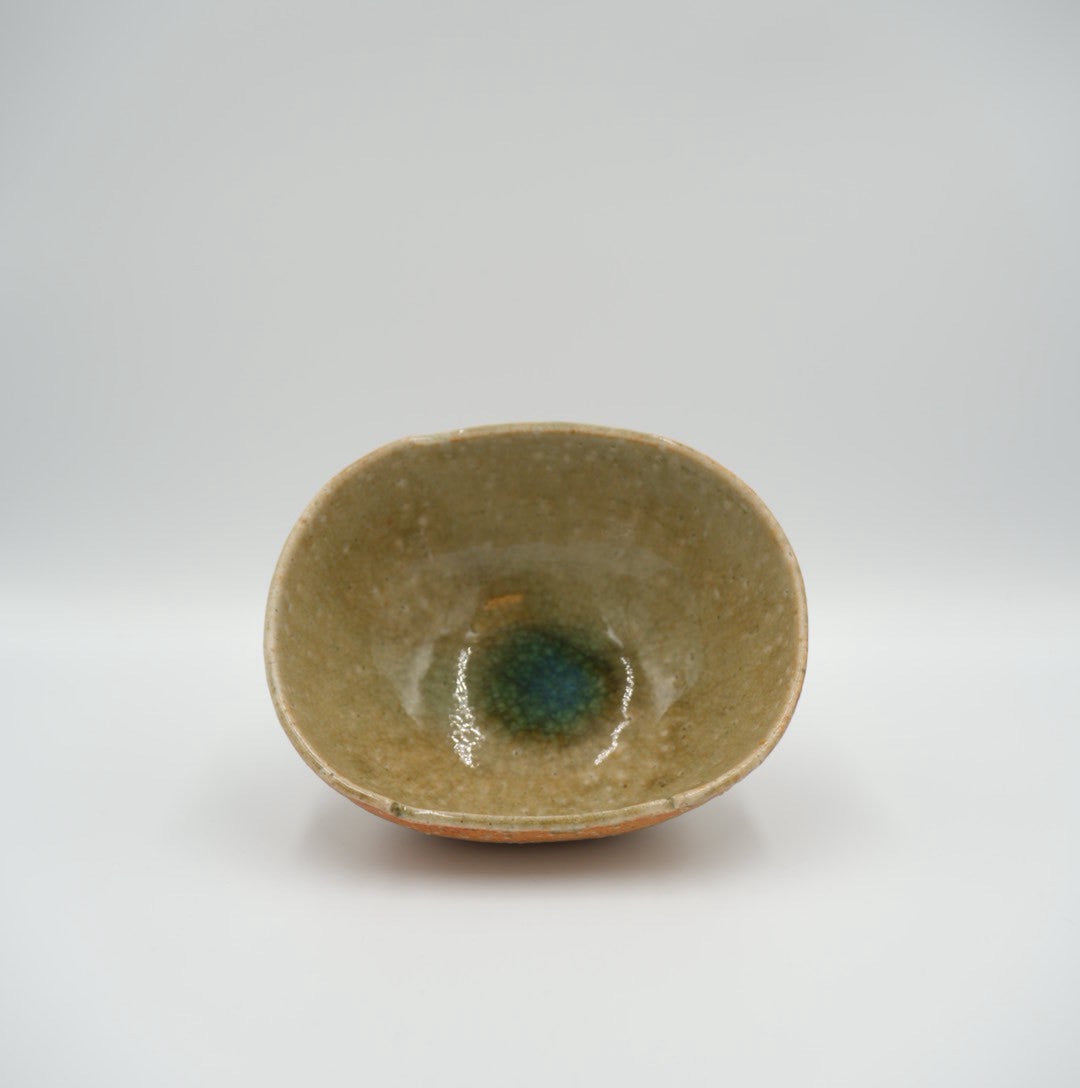 Japanese Enshu-Konomi Hana-Tachibana Matcha Tea Bowl Chawan with Signed Wooden Box
